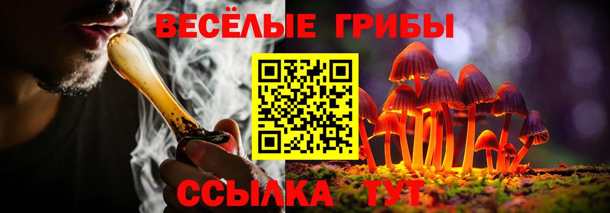 где купить   Вход с VPN  Галлюциногенные грибы мухоморы  Старый Оскол  Псилоцибиновые грибы мухоморы 